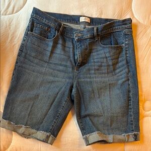 LOFT Denim Shorts